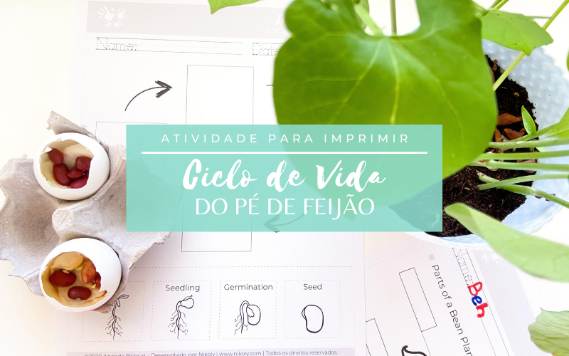 Jardinagem para crianças – Ciclo de vida do pé de feijão